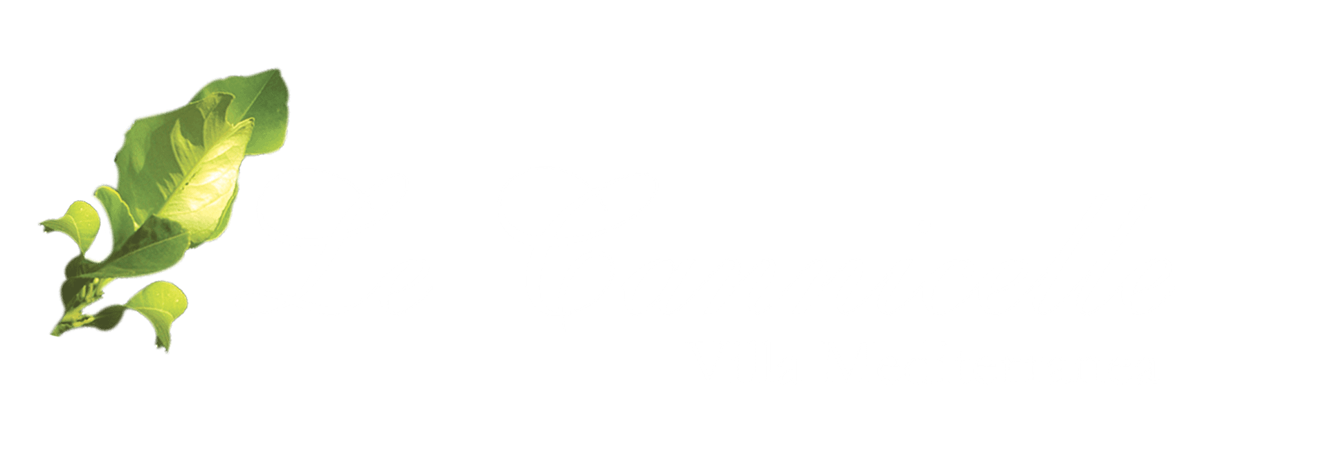 logo cannicelle